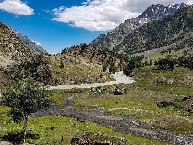 Naltar Valley, Gilgit-Baltistan, Pakistan